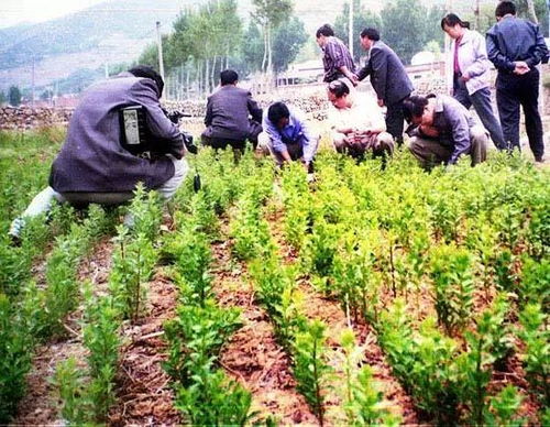 气候到底行不行？自然条件大起底