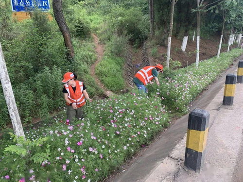养护工人的智慧