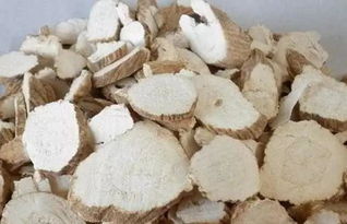 白芷种子的活性秘密