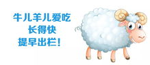 关注养殖环境，防范有害气体危害