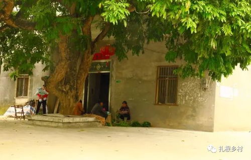 关中门口种树， 老祖宗的智慧与现代科学的碰撞