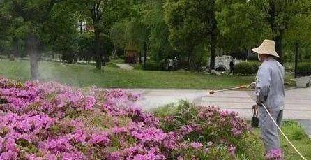 花卉病虫害种类及危害