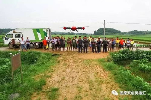 台风后的种植智慧