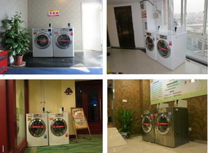 洗涤公司，专业选择