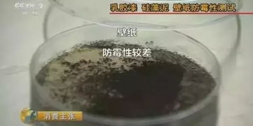 乳胶漆的主要原料