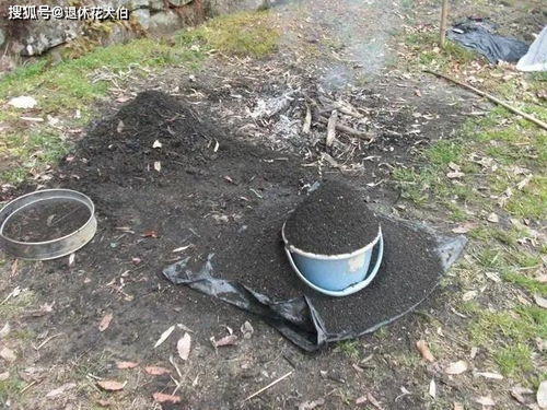 草木灰对植物有什么用？它竟然能促进植物生长