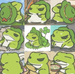 在家养青蛙需要考虑哪些因素？