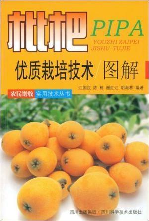 枇杷种植技术及具体步骤是怎样的？