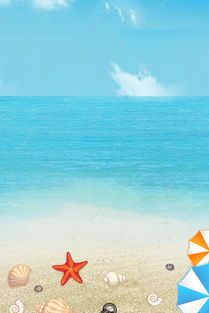 夏日海边， 花儿们的颜值盛宴