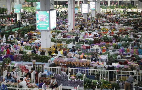 逛市场的蕞佳时机