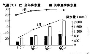 黄粉虫活动规律：探究其昼夜节律与温度、湿度等环境因素的关系