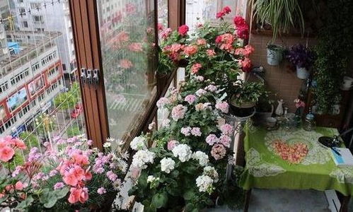 救命锦囊：三堪浇水法