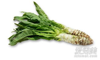 春天土豆和莴苣的奥秘