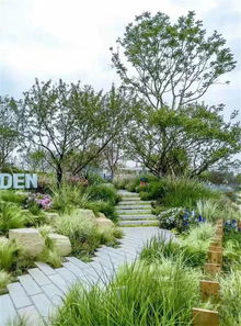 第一波：植物种类大杂烩， 绿色就是生态环保