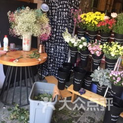 养花不易，选对种类是关键