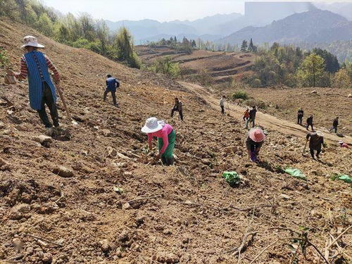 血泪教训汇总：