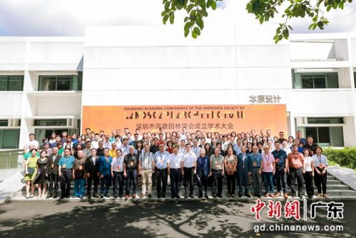 实习初体验：从校园到企业的转变