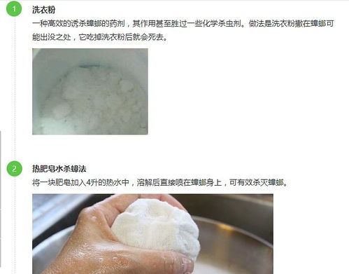 直接对蟑螂喷杀虫剂，这种方法能否立即有效杀死蟑螂？
