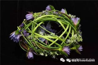 植物选择，有讲究