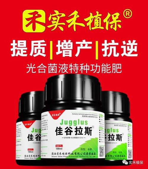 小麦叶锈病的药剂防治之道