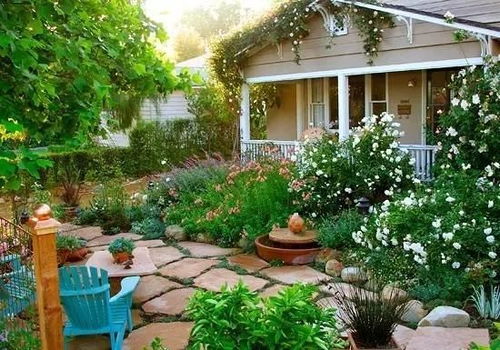 初夏花卉，美不胜收