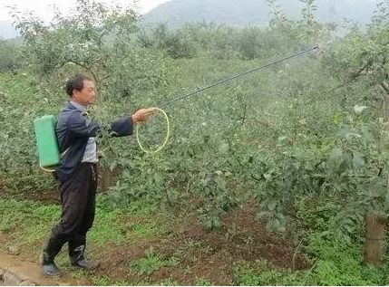 二甲戊灵农药在果园的使用