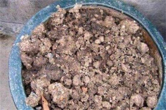 松树皮的神奇变身：从废弃到宝物