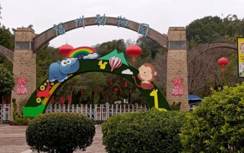 动物园里的欢乐时光