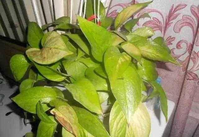 解决方法三：温度控制