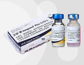 盐碱地也不宜， 药效可不行