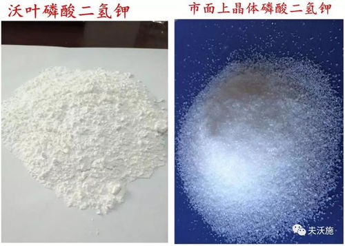 磷酸二氢钾与调环酸钙的使用