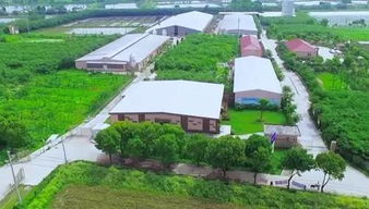 创新畜牧养殖，采用生态循环处理技术