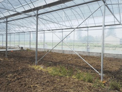 日常管理与人工费用