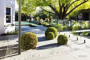 树下种植：大自然的秘密花园