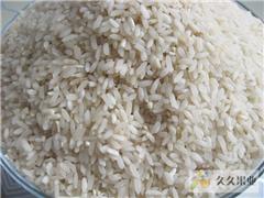 大米不打农药真的不会长虫吗？揭秘这个疑问！