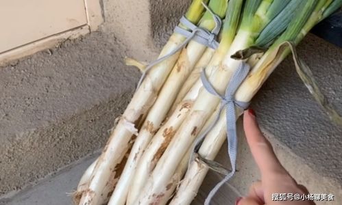 如何保鲜大葱，避免其快速腐烂