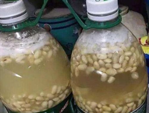 四、 其他平安除虫方法