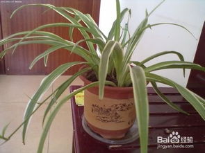 雾霾的形成与气象条件