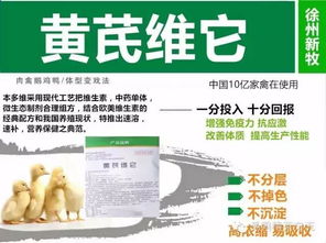 饲料营养、环境应激、品种遗传、养殖技术