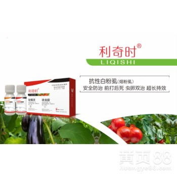 邻居家白盾蚧卷土重来原因竟是这个！