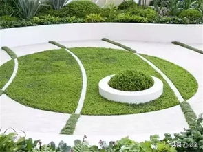 用途大不同， 草种也各异