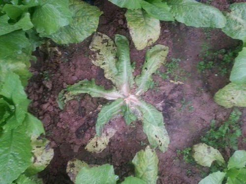 打针治疗，新方法了解一下