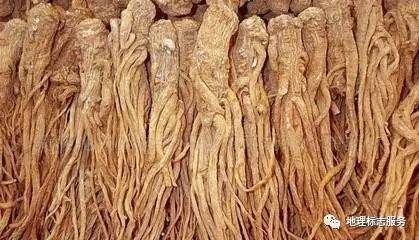 南方冬天温暖， 得小心