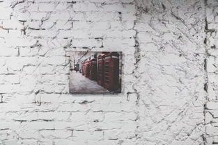 邻居的墙角成了风景