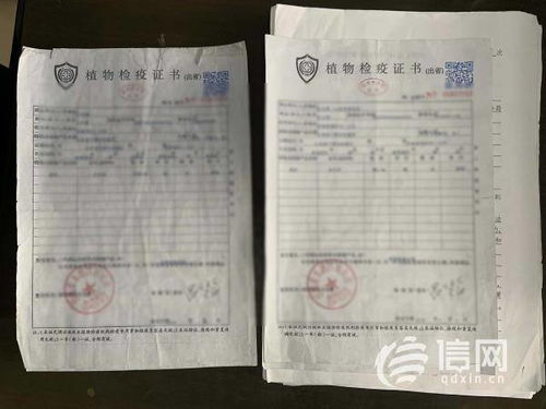 苗木地头价和苗木检疫证是什么？