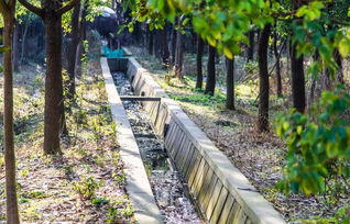 加固支撑， 防风又防雨