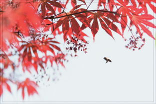 民间传说大揭秘