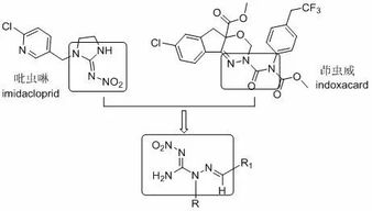 二硝基化合物的起源与发展