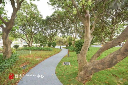 地面材质：防滑耐磨， 舒服极了