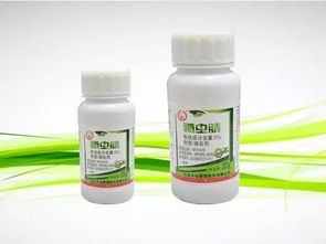 科学存储，阴干技巧，确保种子健康